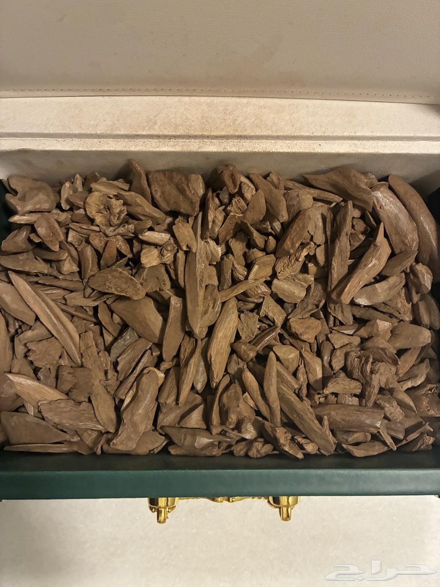 عود موروكي آصقون فاخر ( طبيعي ) سعر منافس64578703548035113