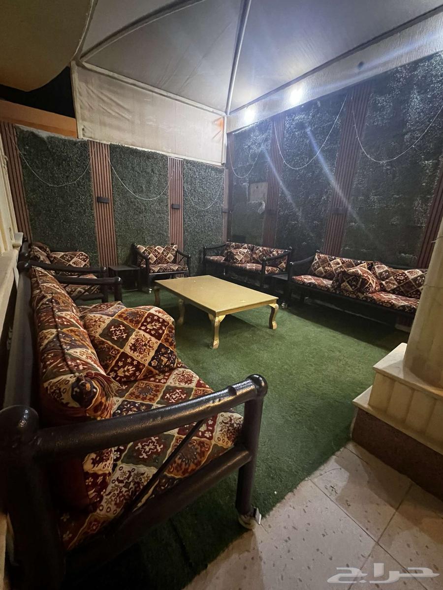 Winter iron session with clean sofa64576980472578111