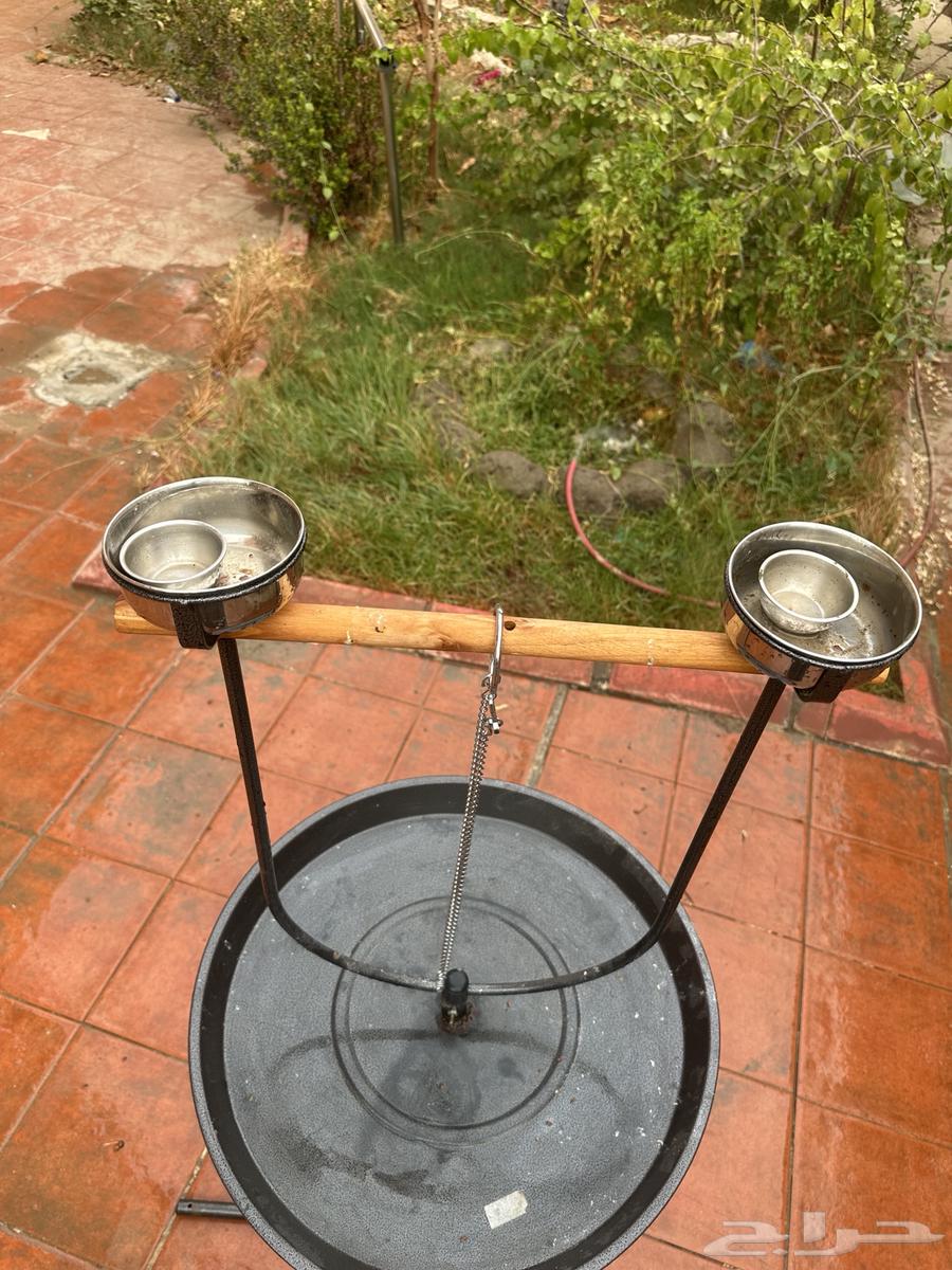 استاند طير64578923425155112