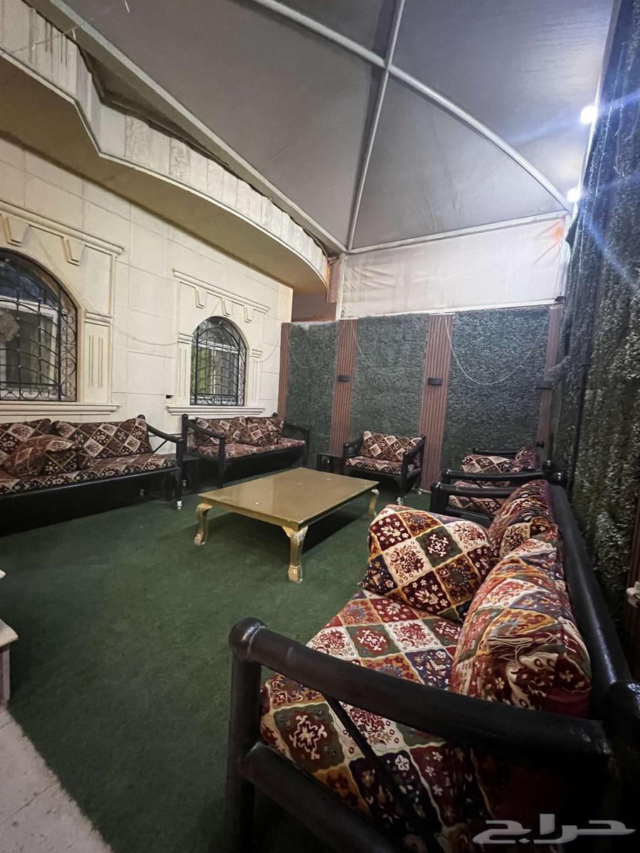 Winter iron session with clean sofa64576980472578112