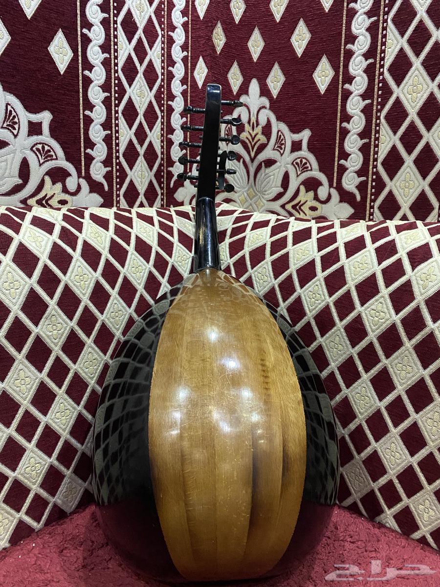 عود للبيع64573685331842111