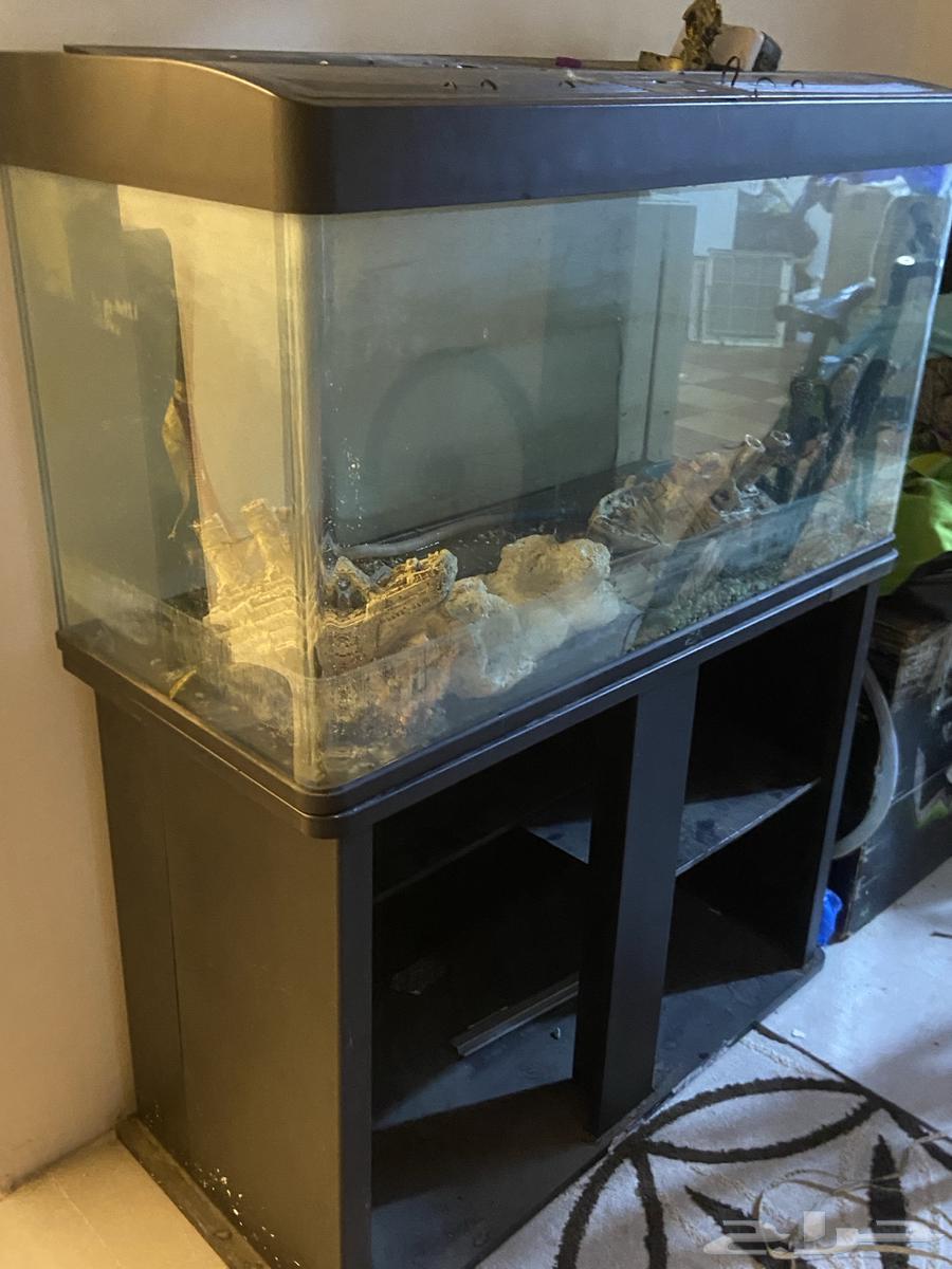 للبيع المستعجل حوض اسماك مع كامل ملحقاته64573964262785111