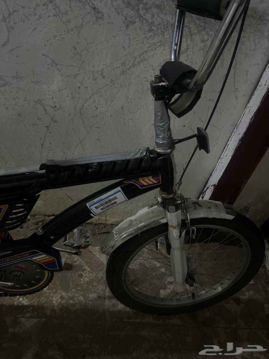 رامبو للبيع مقاس 2064578841454850111