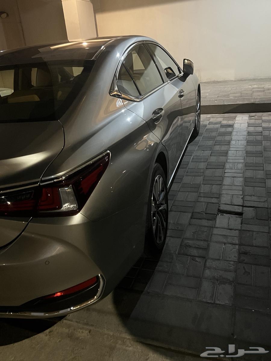 Going and returning to Bahrain today, passenger delivery agent from and to Bahrain64154899316867114