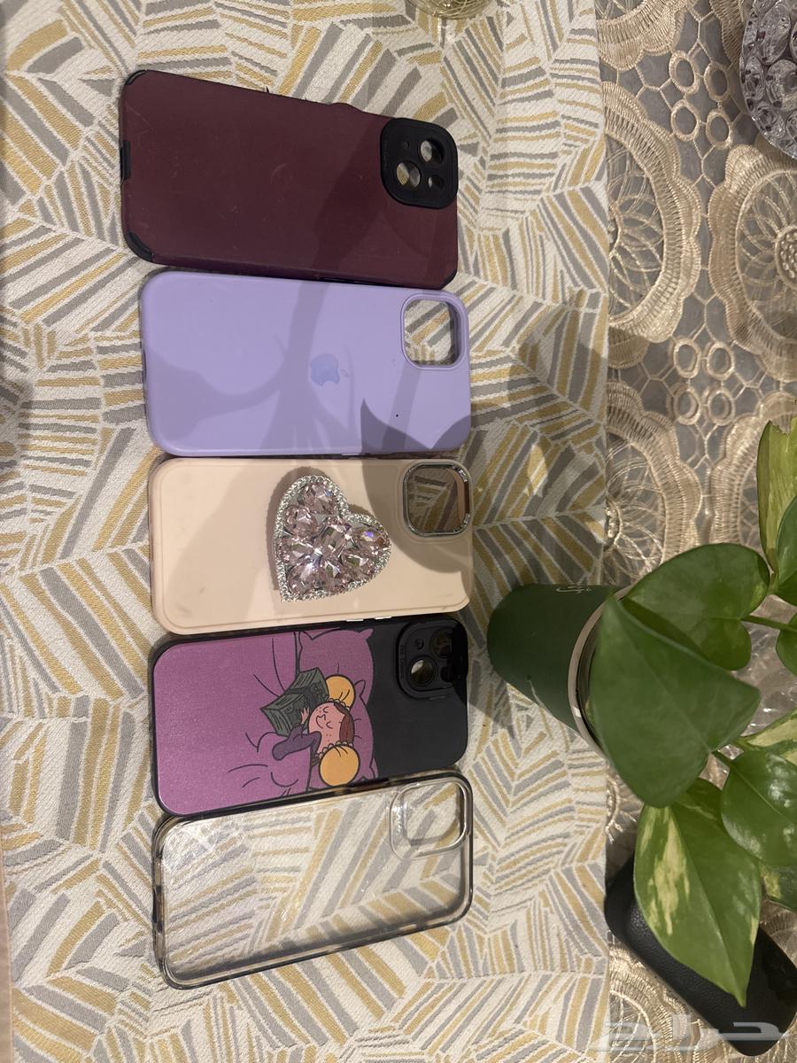 iPhone 13 Case64579406123905110