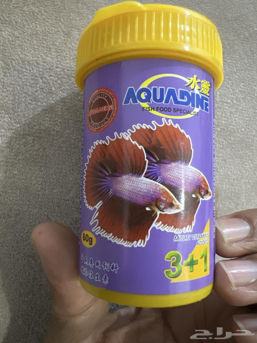 Taste of Fish64576395762945110