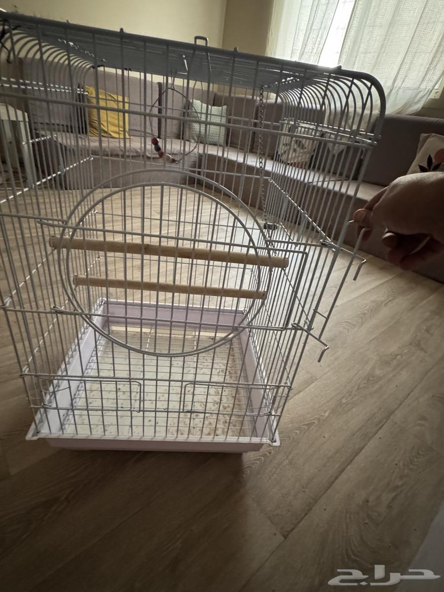 قفص ببغاء64574369747713110