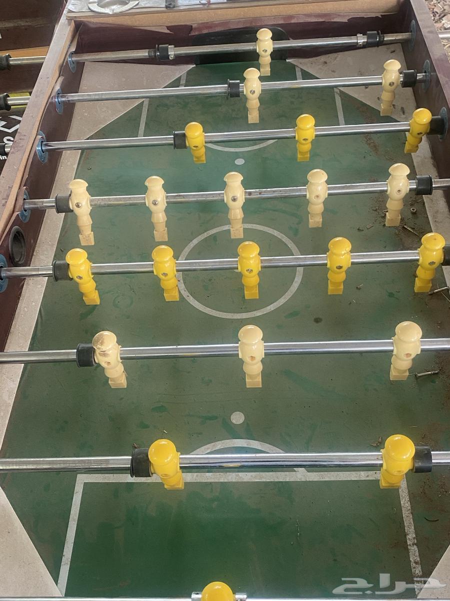 فرفر للبيع با ناصر الأصلي64574929929219114