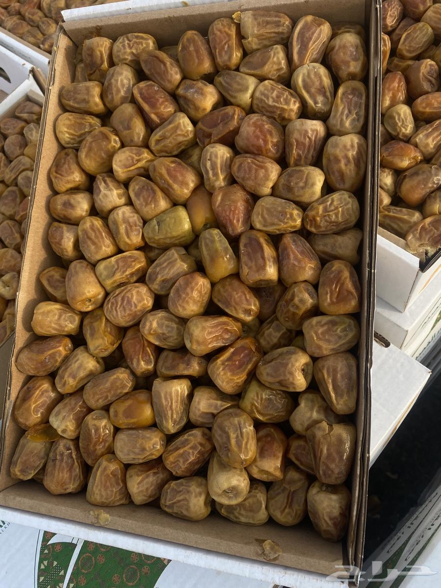 Twisted Sugar64574285929601110