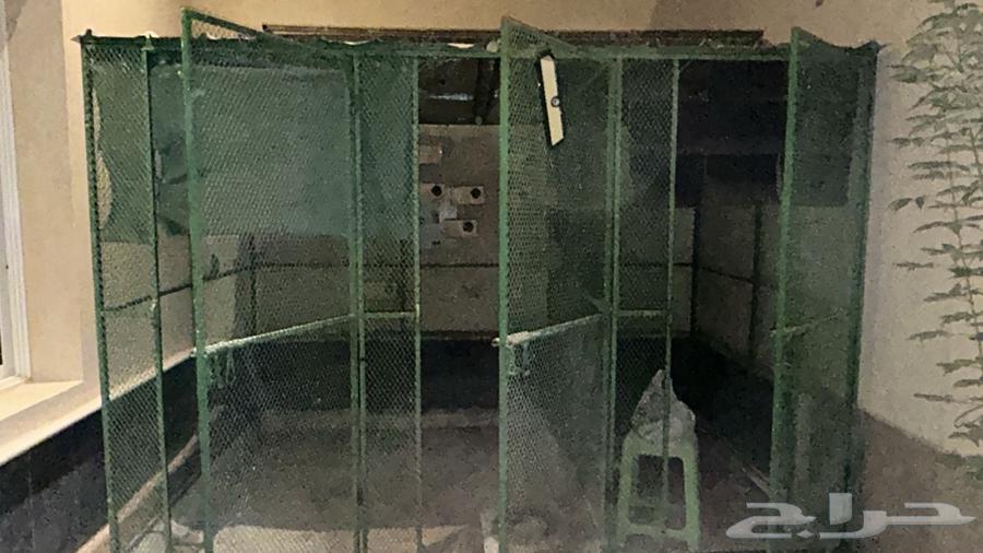 عشة طيور ((( تم البيع تم تحويل عمولة الموقع )))64574607128449110