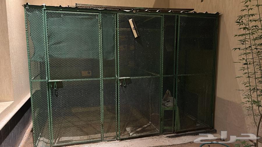 عشة طيور ((( تم البيع تم تحويل عمولة الموقع )))64574607128449112