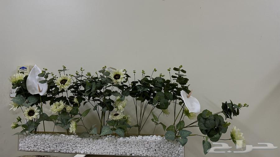 New Standard64573474331394110