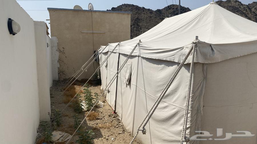 خيمه باكستانيه العرض 5 الطول 664573108913665111