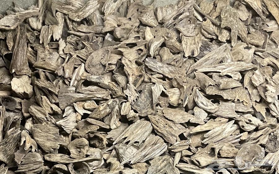 عود موروكي حي طبيعي.. فرصة64473121073409111