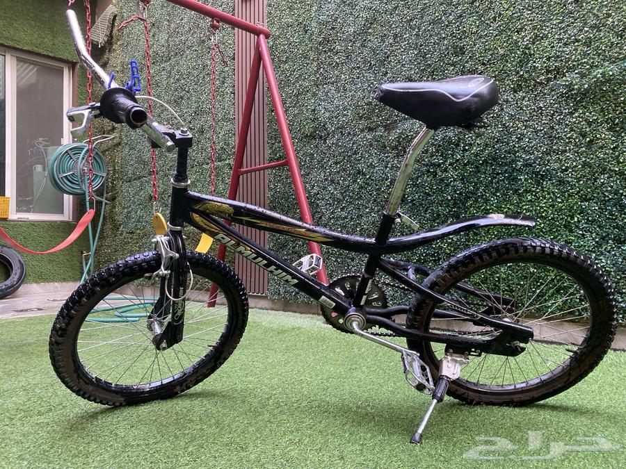 Cobra Cycle Snake64577078605313112