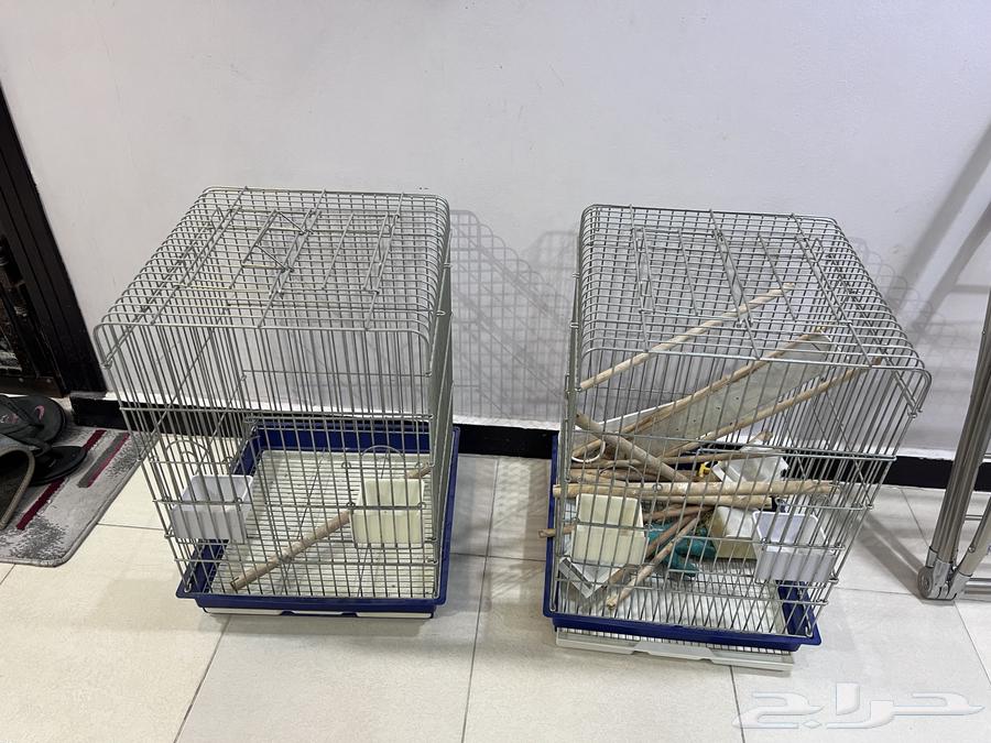 Two bird cages for sale, one or both, clean and complete with all accessories64572650087298112