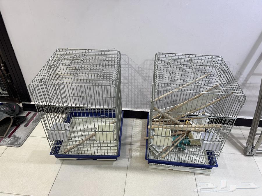 Two bird cages for sale, one or both, clean and complete with all accessories64572650087298111