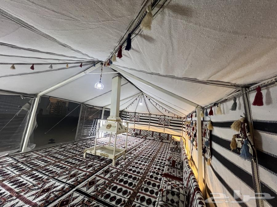 بيت شعر بيض64577922358787113