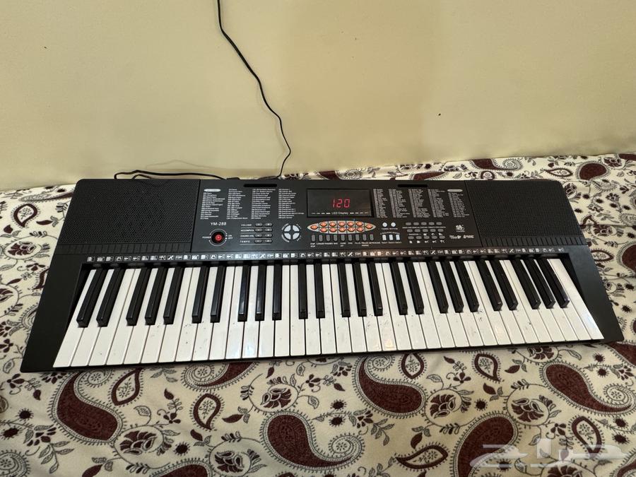 Piano (Watch the video, you'll like it)64572021256835110