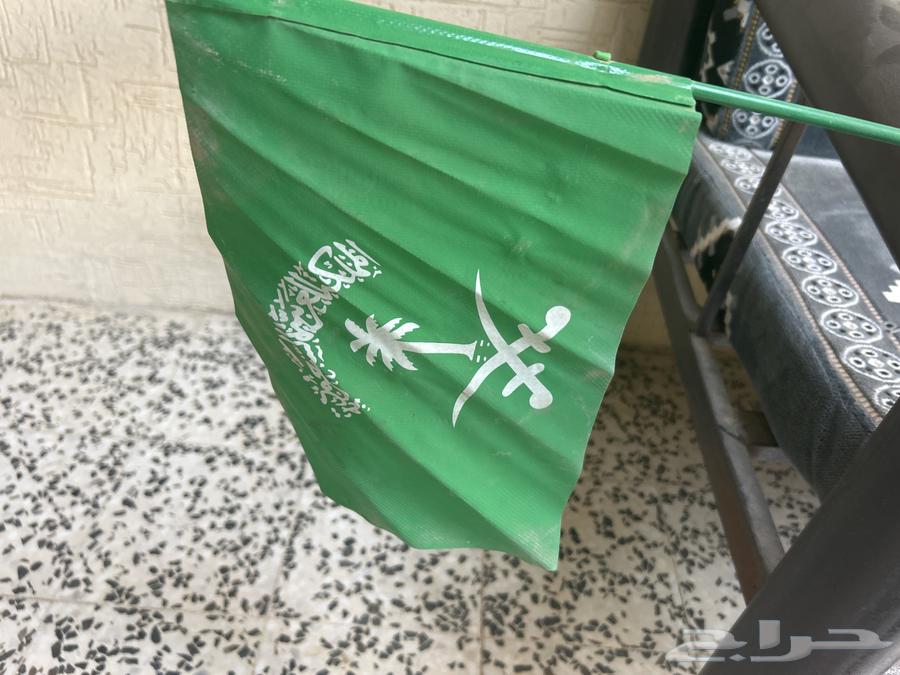 Saudi Flag (Bicycle)64576437400193112