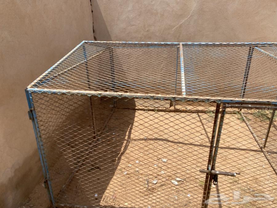 شبك للبيع64576924513538112