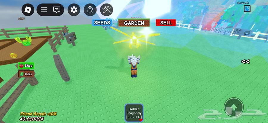 dragonfly gold64578312234499110