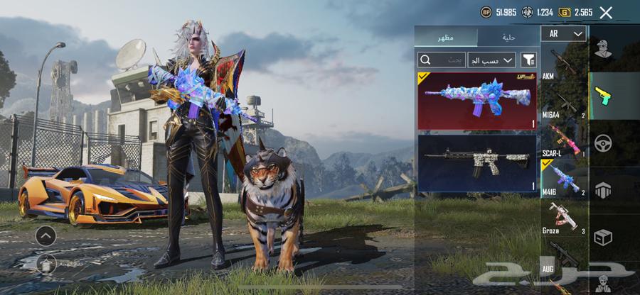 حساب ببجي64575251864706113