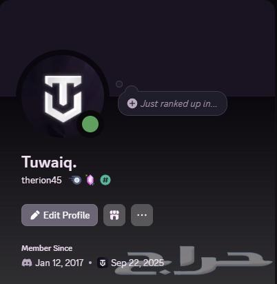 Discord Account with 15 Month Badge Post64579553975683110