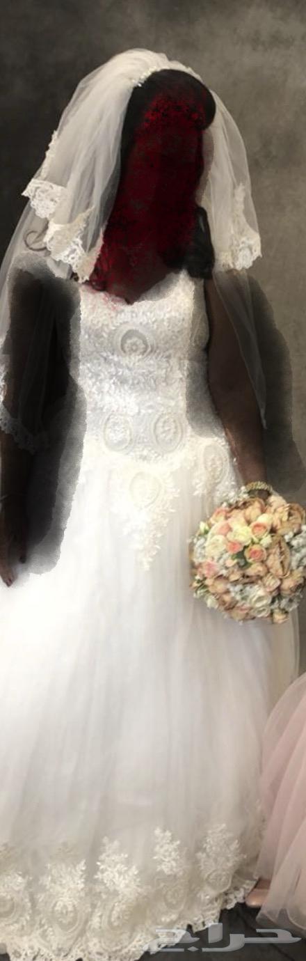 فستان زواج وطرحة وعباية بيضها تستخدم بعد الخروج من زفاف64577908127361110