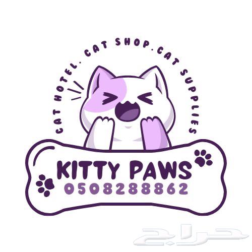 إعلان ملكي لعشاق القطط المميزة64576395796609111