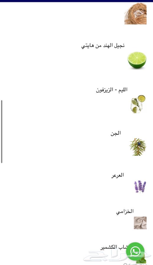 Essence Perfumes (Essential Hermes Acqua di Parma)64577894216193111