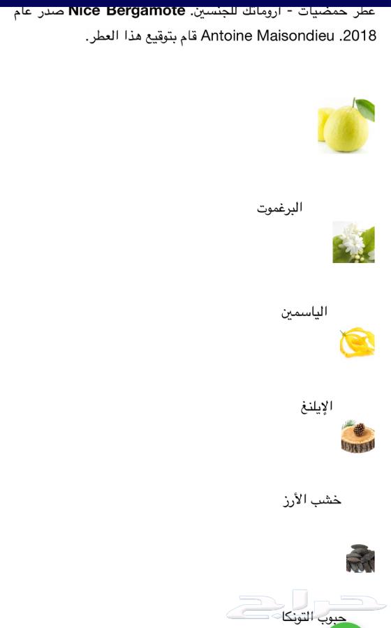 Essence Perfumes (Essential Hermes Acqua di Parma)64577894216193113