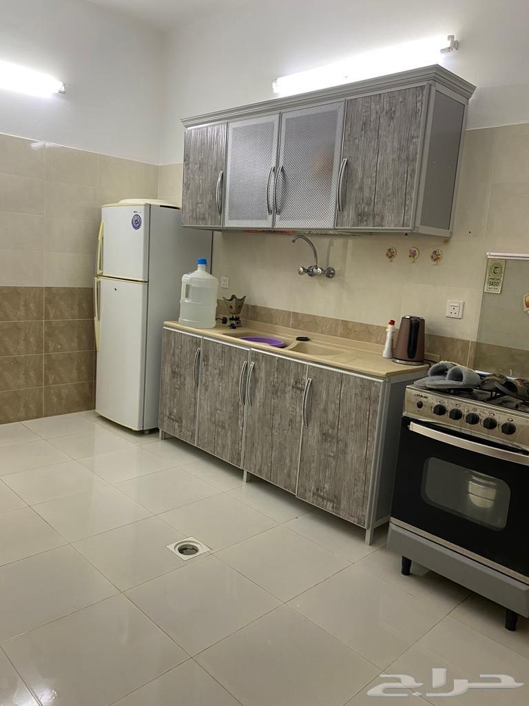إستراحة للإيجار64145687478402111