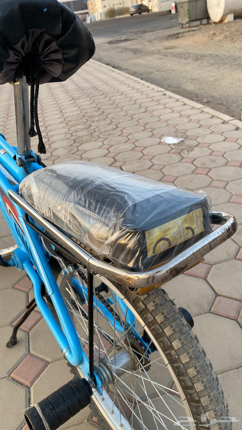 سيكل رامبو اندنوسي64573347848962110