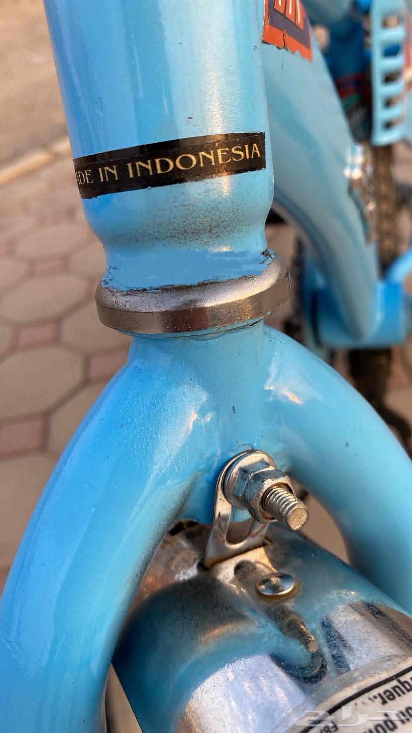 سيكل رامبو اندنوسي64573347848962114