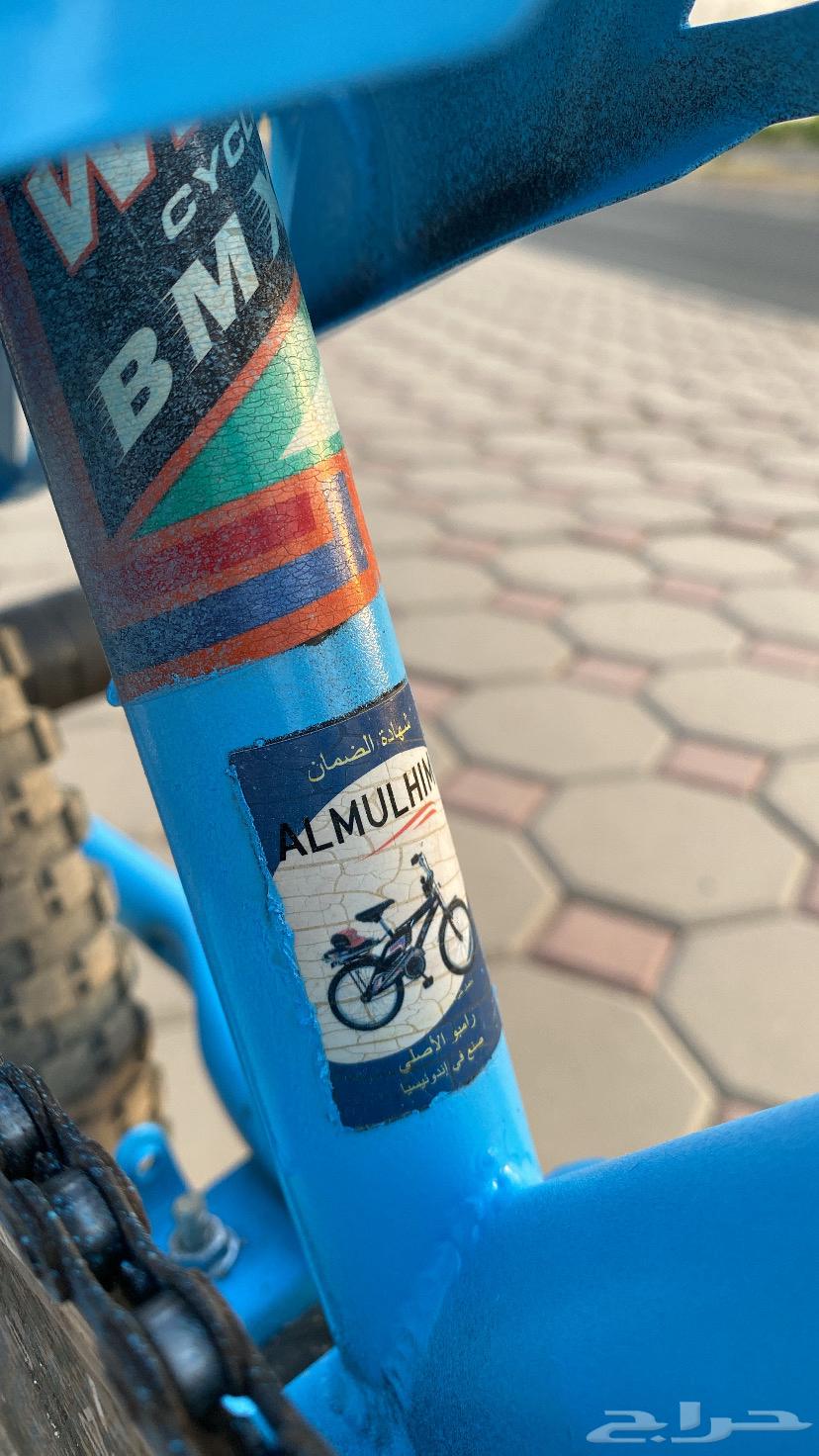 سيكل رامبو اندنوسي64573347848962113