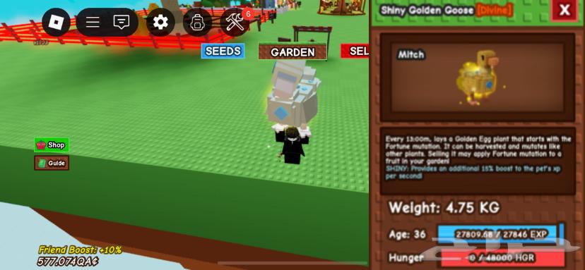 اغراض ماب المزرعه64579470580993114