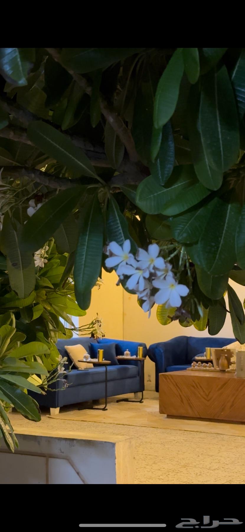 كنبين64578800450691111