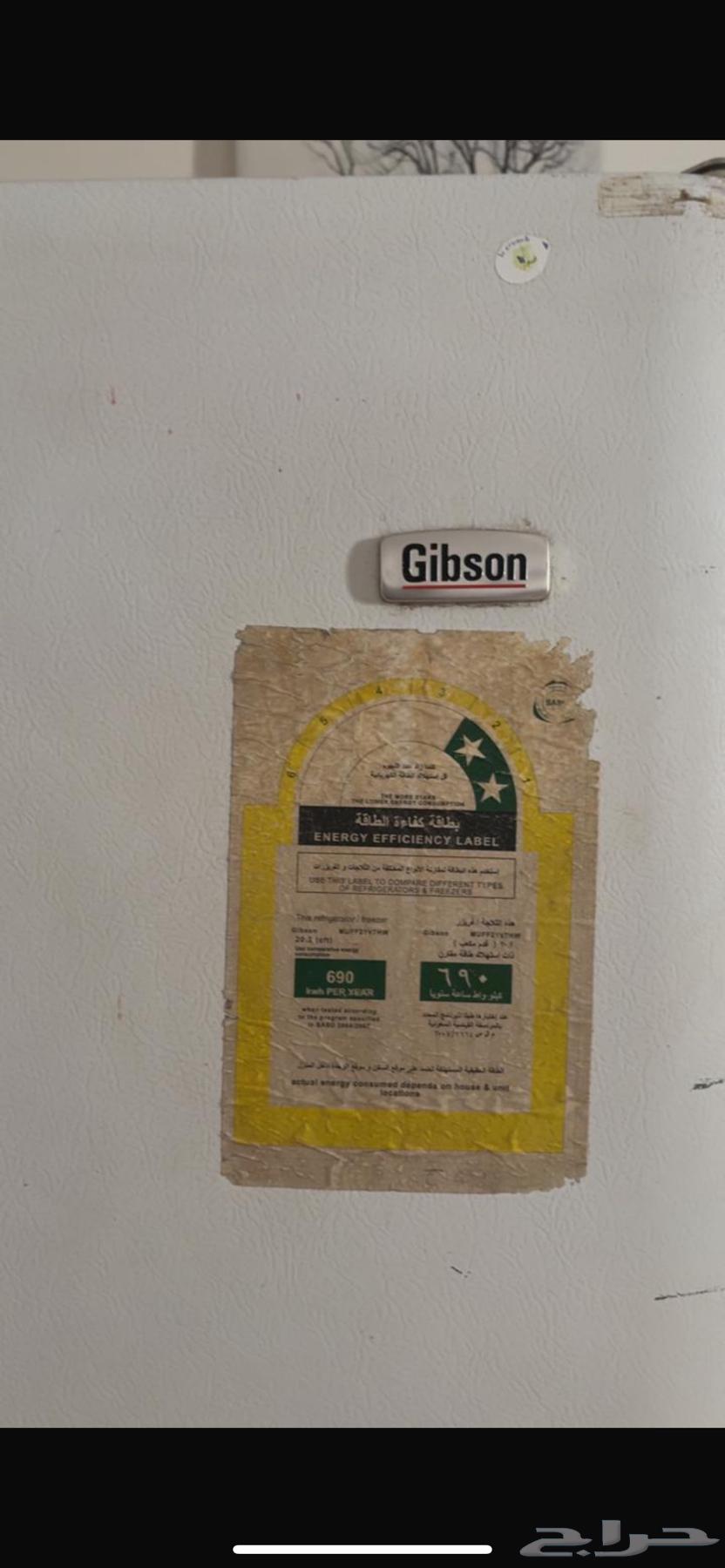 فريزر عاموي جبسون امريكي64574453448579113