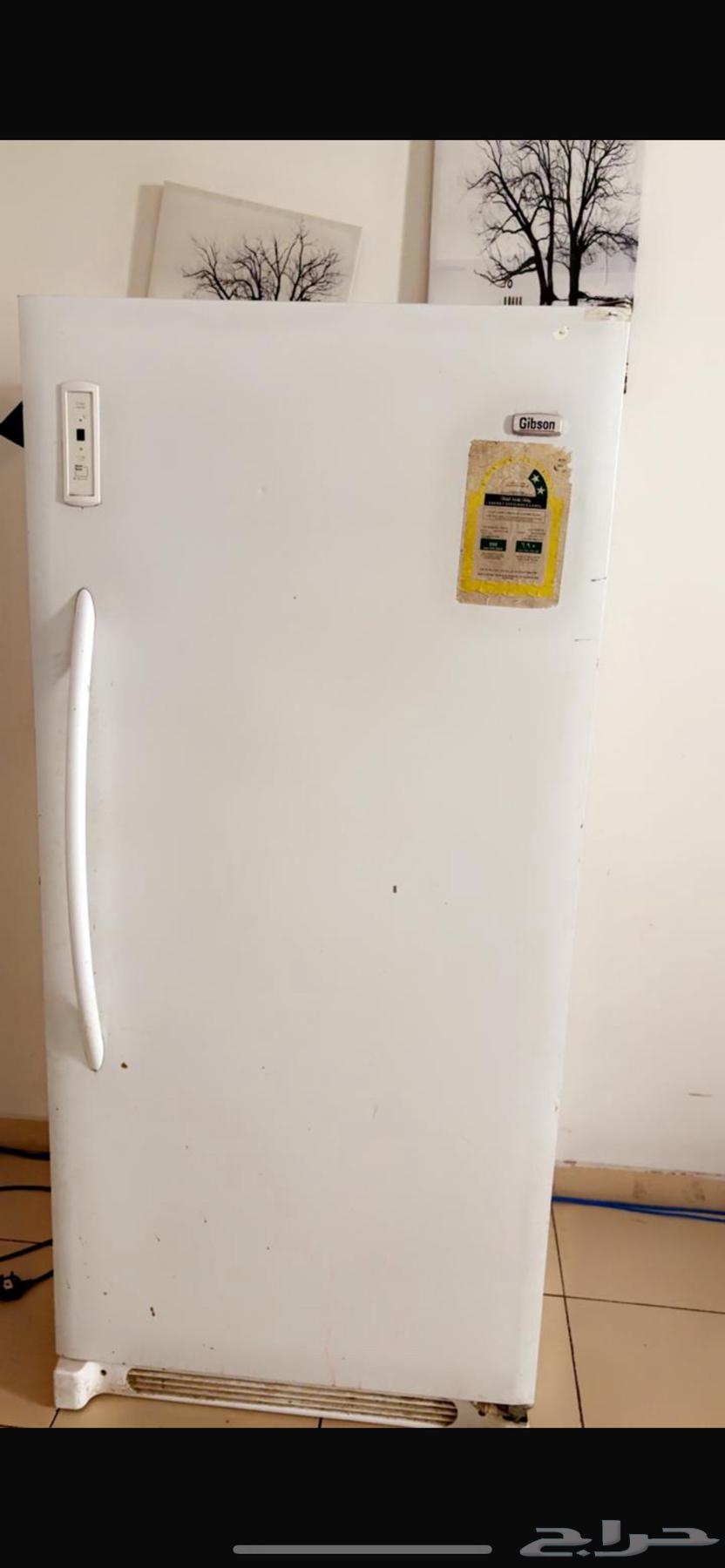 فريزر عاموي جبسون امريكي64574453448579110