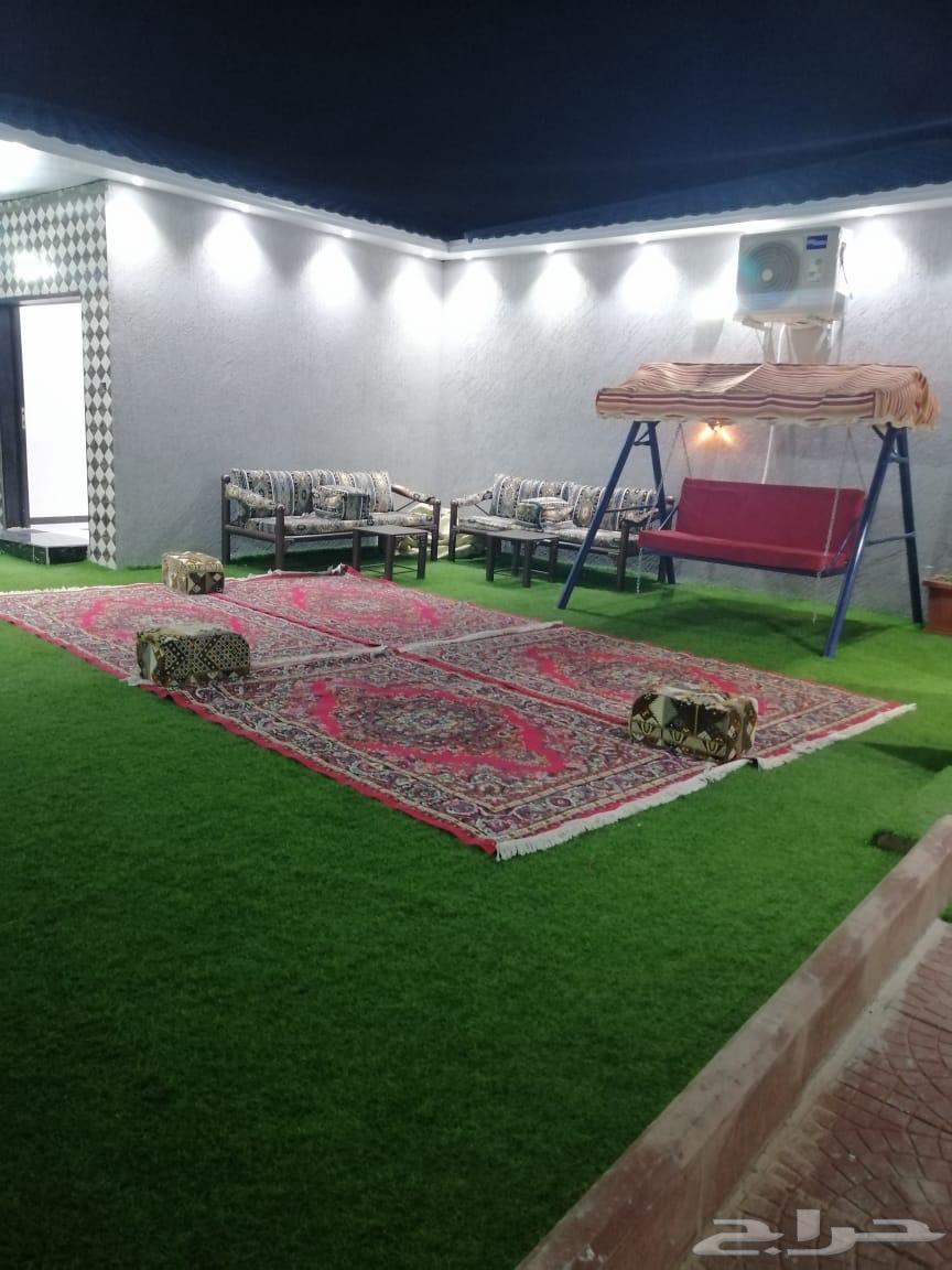 Chalets for rent - Al-Sail Al-Sagheer - Al-Wasliyah64145688987011111