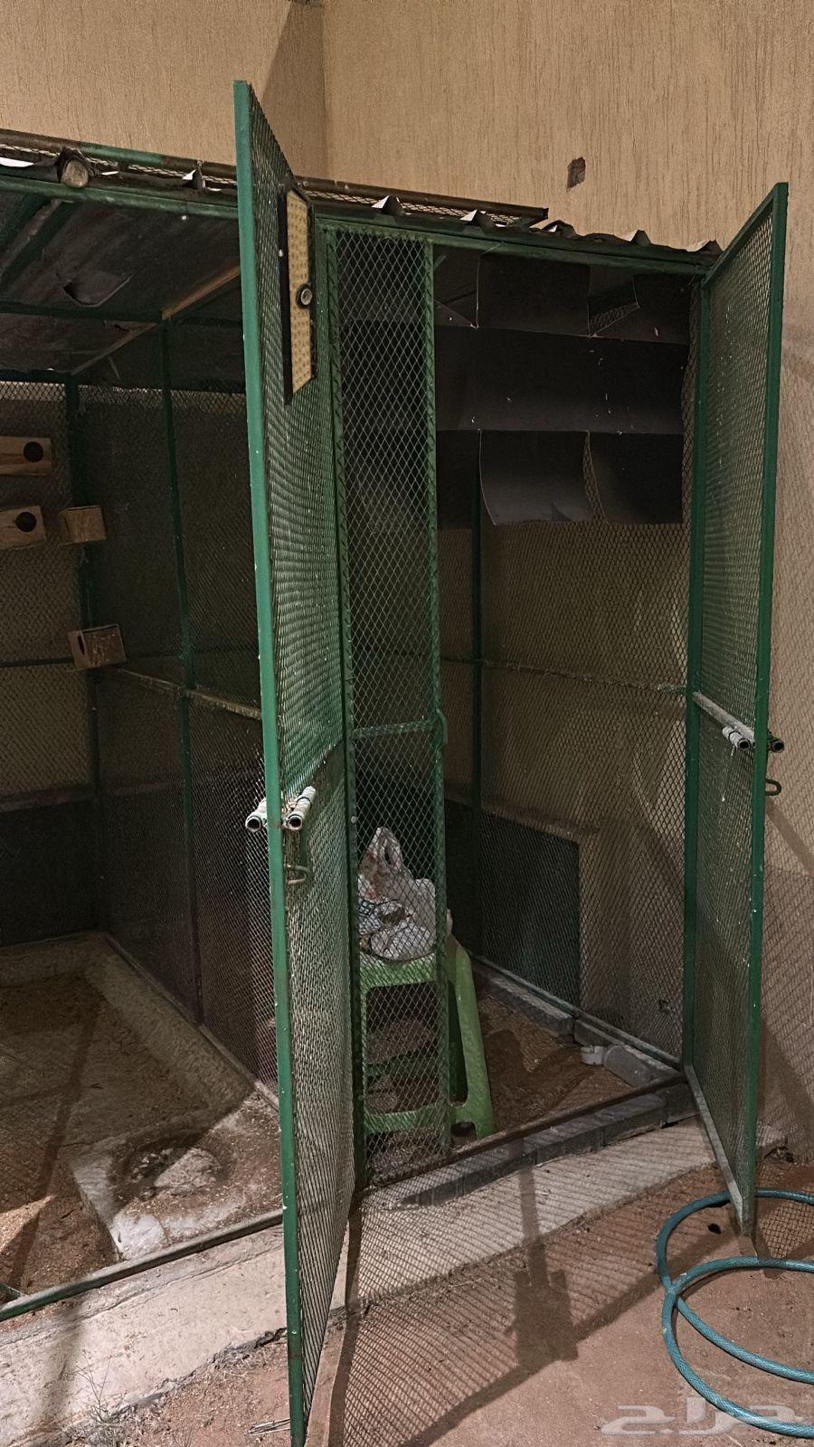 عشة طيور ((( تم البيع تم تحويل عمولة الموقع )))64574607128449111