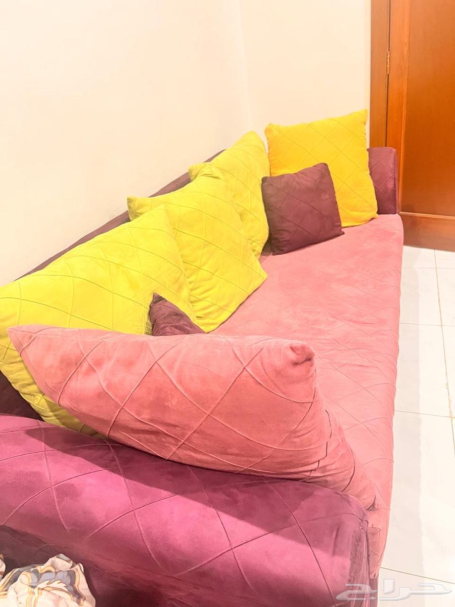 طقم كنب ثلاثيه و2ثنائيه وكنبتين السعر 800ريال64575615454593111