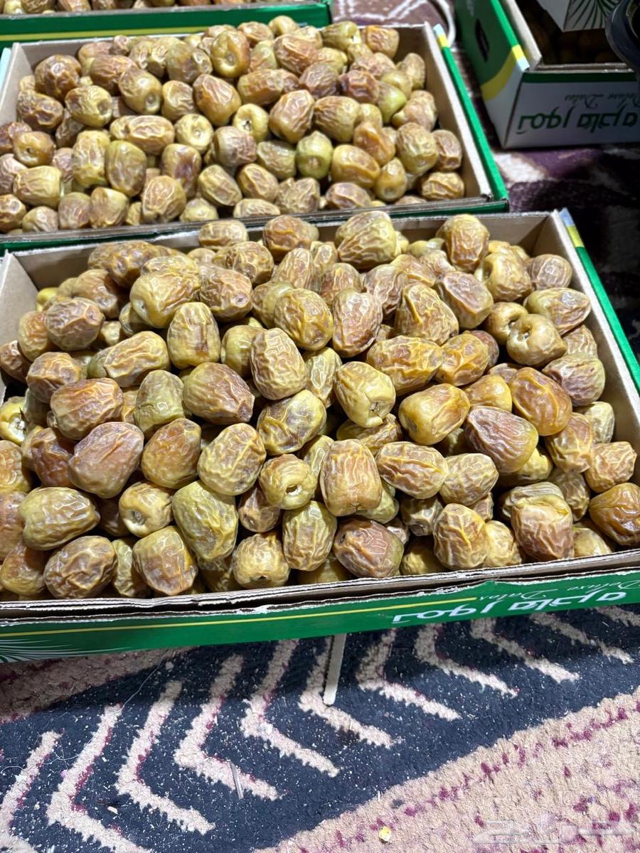 Tamr Skri64578619277698111