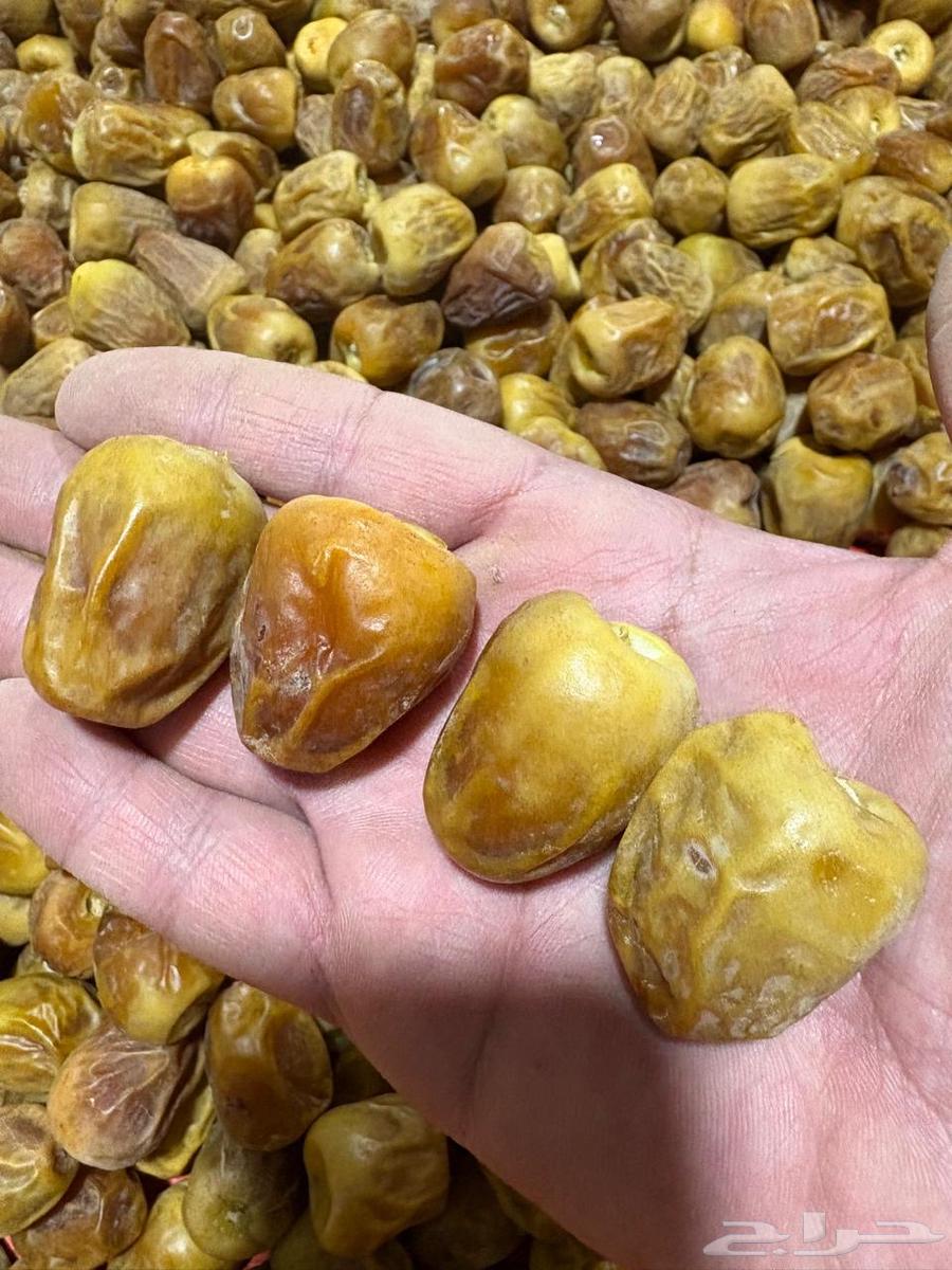 Tamr Skri64578619277698110