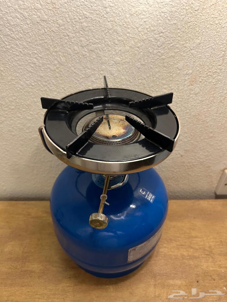 Davor with head on offer64578869015811110