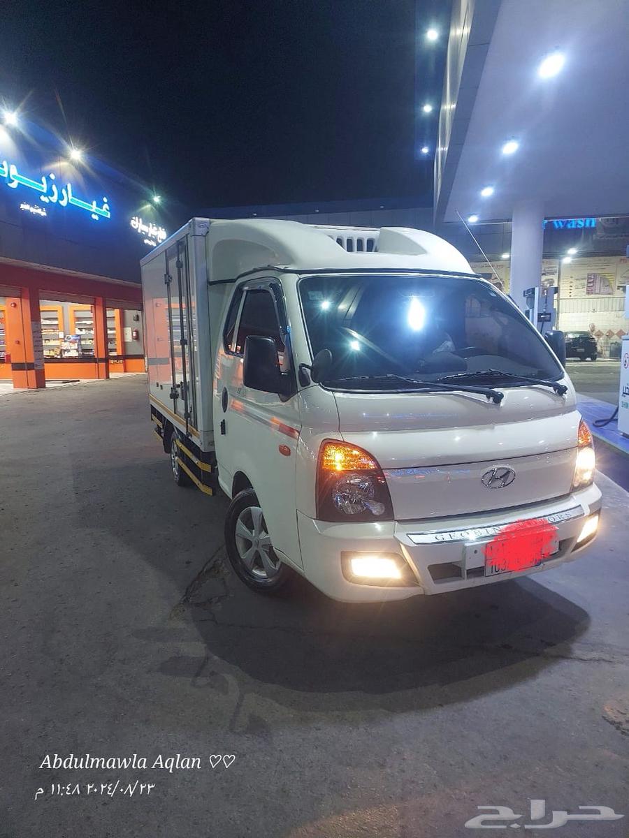 دينا ثلاجه64579280229251112