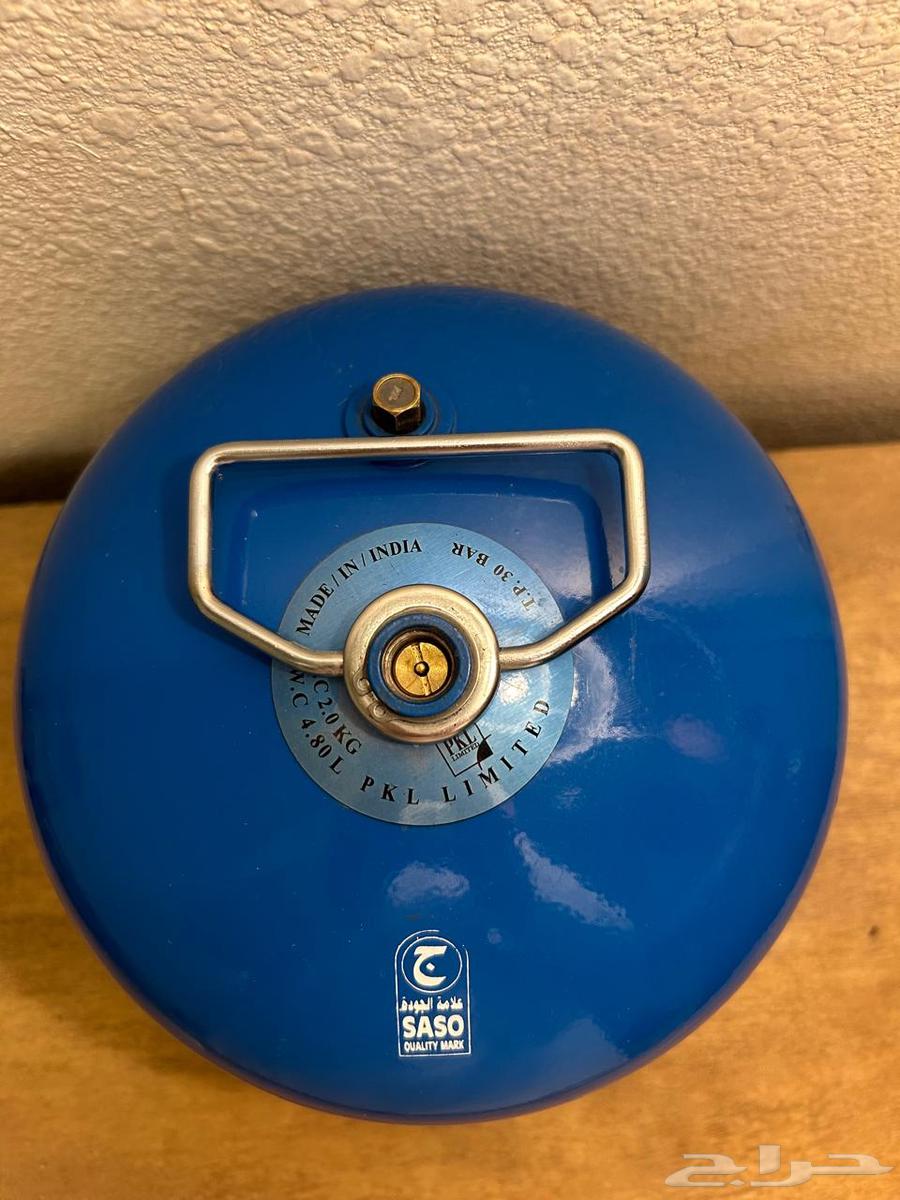 Davor with head on offer64578869015811112