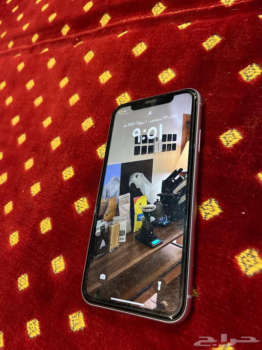 ايفون 11 معه الكرتون64579032789249112