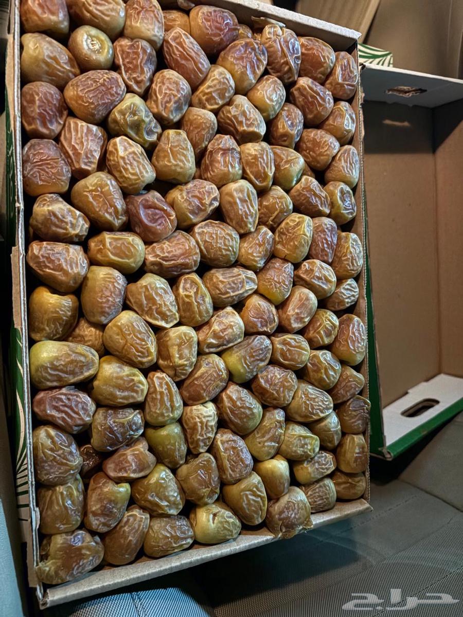 Tamr Skri64578619277698112